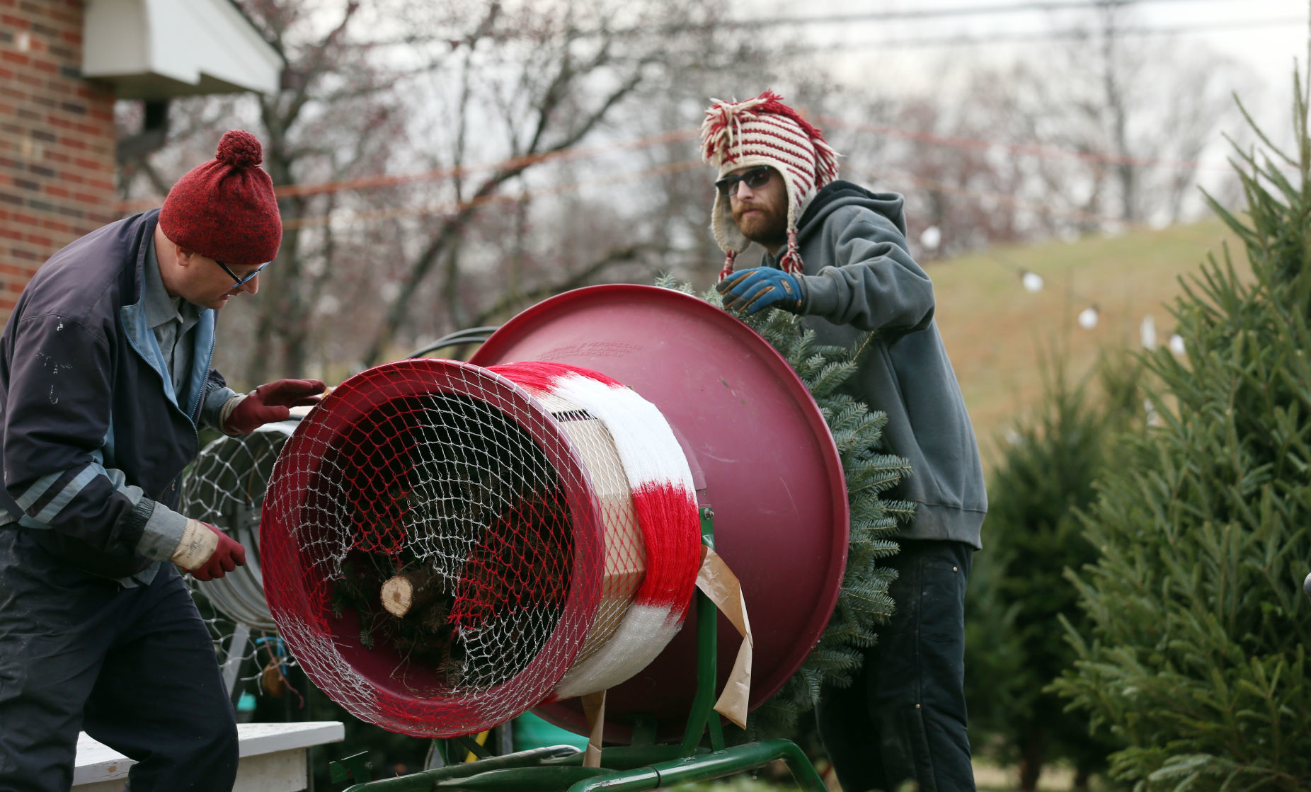 John Hamill, owner of Hamill Christmas Tree Farm
